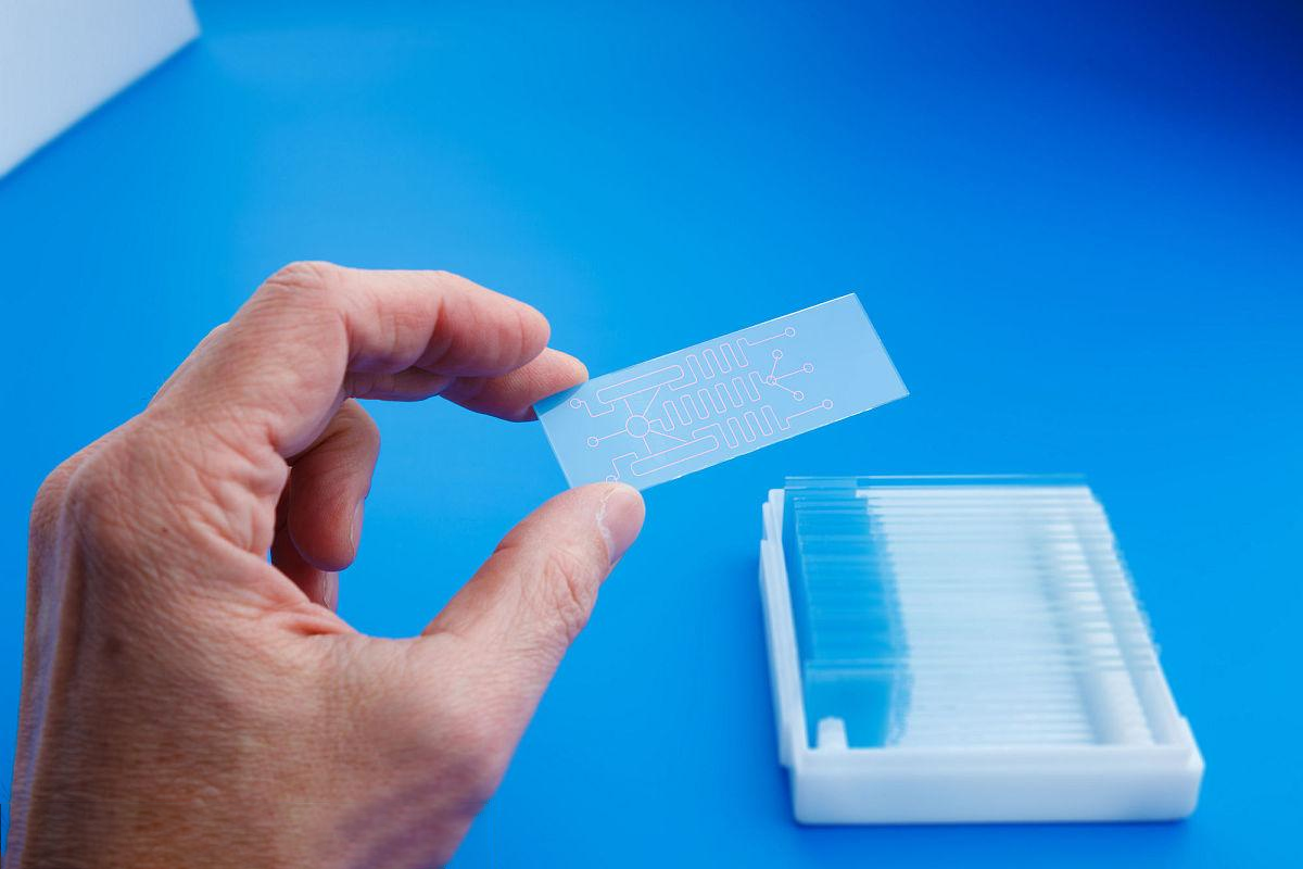 Introduction and Application of Protein Microarray